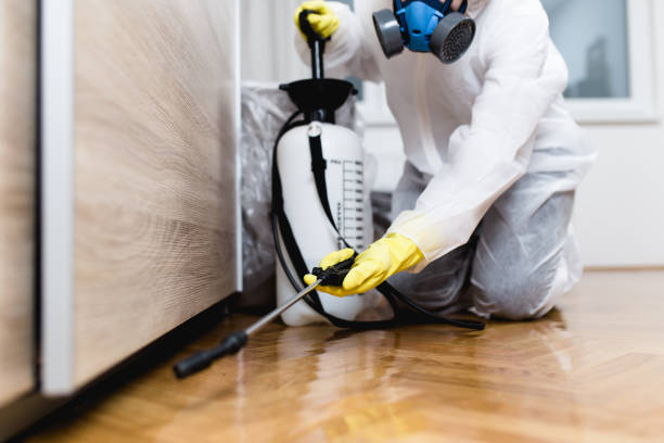 Reliable Woodville, CA Pest Control Solutions