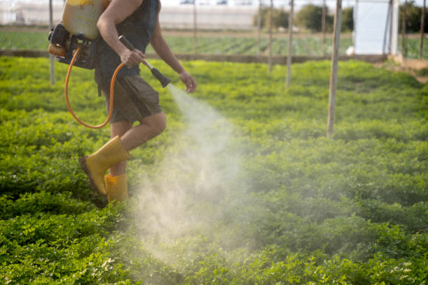  Woodville, CA Pest Control Pros