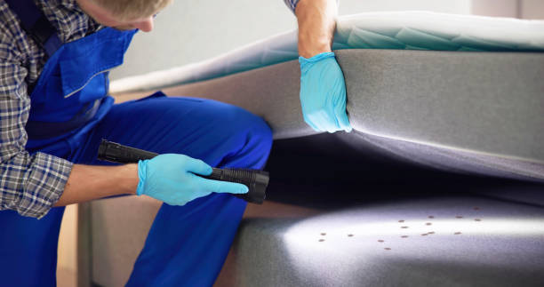 Best Best Pest Control Companies  in Woodville, CA