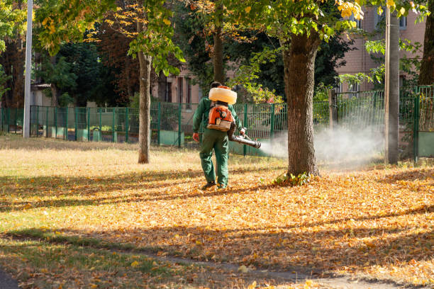 Best Commercial Pest Control Services  in Woodville, CA