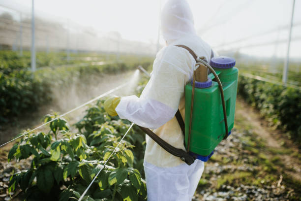 Best Exterminator Services  in Woodville, CA